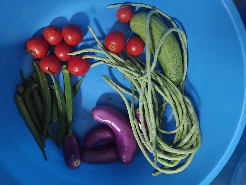 Eating Well and Still Running on Empty: The Hidden Micronutrient Crisis Affecting Millions of Americans
